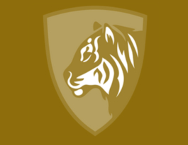 card img